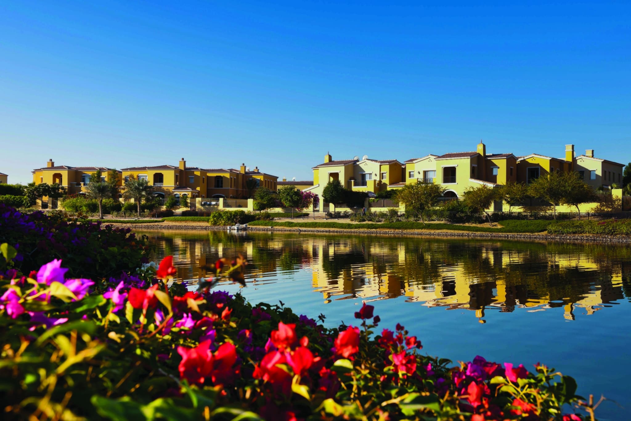 Springs Dubai Properties for Sale & Rent Buy Villas & Apartments