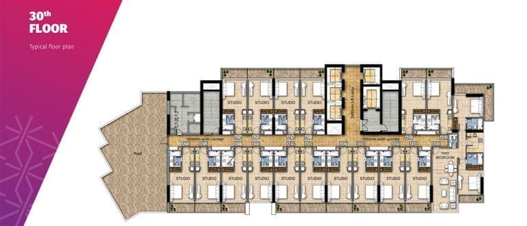 Carson Tower 30th Floor Plans