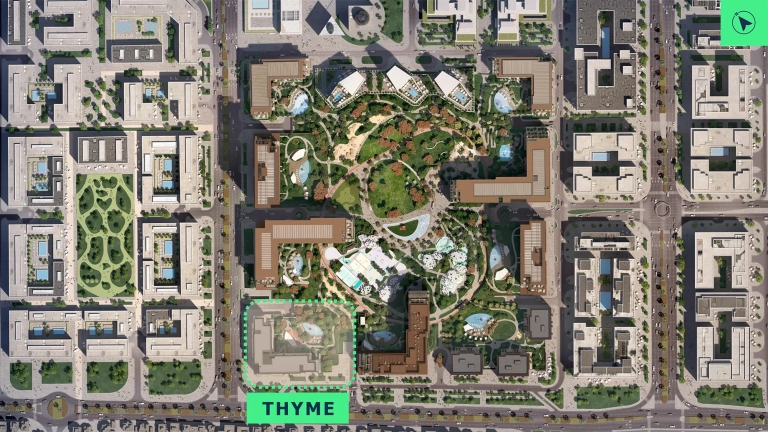 Thyme at Central Park