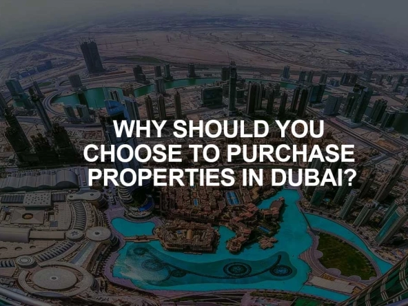 Purchase Property in Dubai
